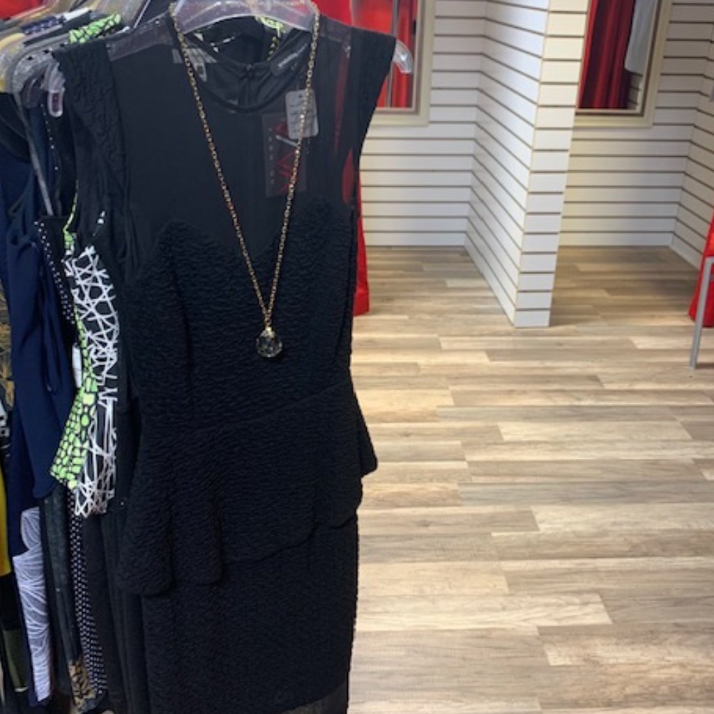 Brand New Waggon Paris Dress
